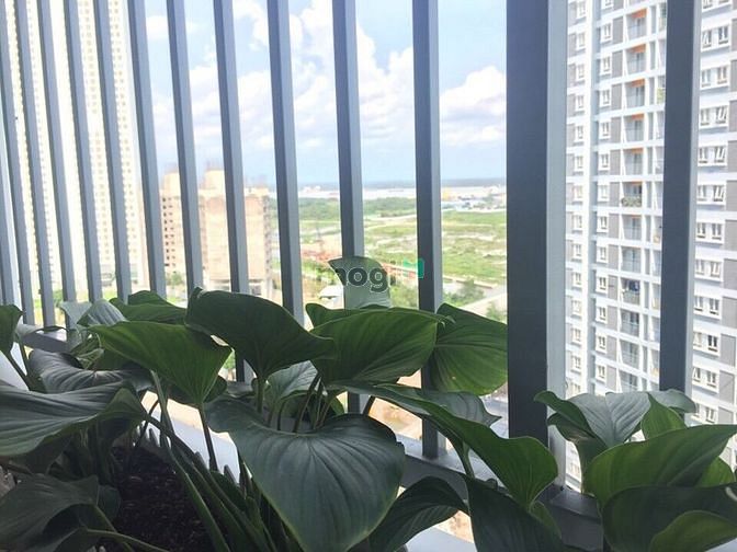 Hình ảnh Cho thuê Trang Chủ MB66.COM / Đăng Ký Tặng 66K 2PN 1WC chung cư Jamona City Đào Trí Q7