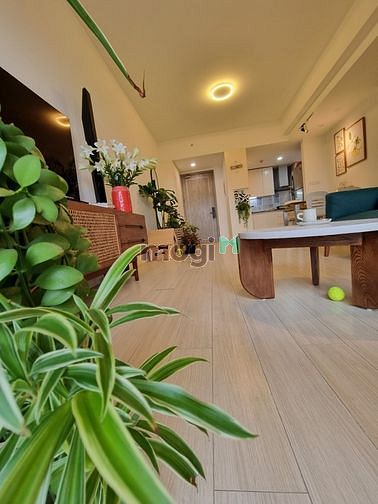 Hình ảnh Bán Trang Chủ MB66.COM / Đăng Ký Tặng 66K 3PN tại Tòa C1 Rừng Cọ - Khu đô thị Ecopark Hưng Yên 3,1 tỷ