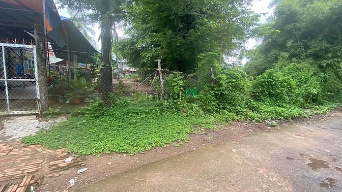 Hình ảnh Bán gấp lô đất 10x50m, đất sát ql13 giá 390tr. Tách được 2 lô.