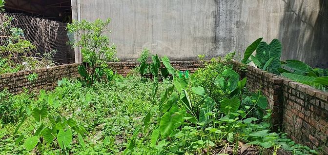 Hình ảnh Bán đất 35m mặt tiền 5m Thạch bàn ngõ 2,7m vuông đẹp giá 2,3tỷ
