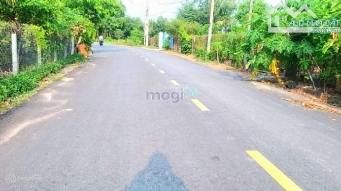 Hình ảnh Bán 5 Lô Thổ Cư Thị Xã Bình Long DT Đến 1145m2 Giá Chỉ Từ 330 Triệu