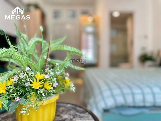 Hình ảnh CĂN HỘ CAO CẤP 35m2 y hình y giá quận 3 đường cách mạng tháng 8