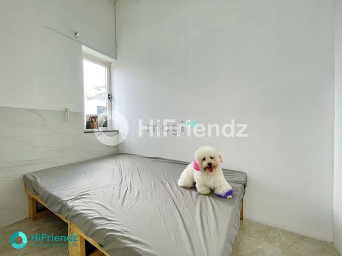 Hình ảnh 🔥 CHUNG CƯ MINI 2PN 50m2 gần Sân bay - Phú Nhuận - P13 Tân Bình
