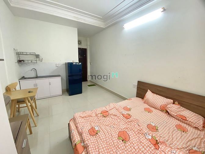 Hình ảnh Cho thuê chdv full nt có cửa sổ ngay Võ thị sáu quận 3