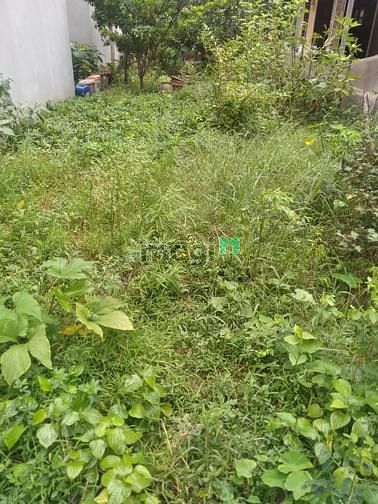 Hình ảnh ++Bán Đất _Cự Khối_Long Biên+DT.46M- MT 4M -GIÁ1.95 TỶ.