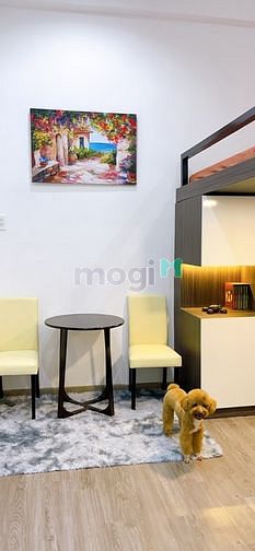 Hình ảnh Phòng Duplex Full Nội Thất Tân Bình
