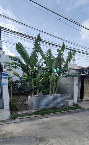 Hình ảnh Đất sổ đỏ P.Long Bình, Biên Hòa. 100m2 /980tr có 60m TC. đường nhựa