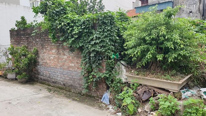Hình ảnh Bán đất 3 bước chân ra đường Phan Đình Phùng, Đan Phượng 100m2, 3,3tỷ.