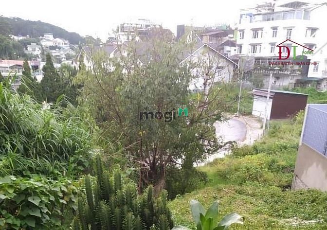 Hình ảnh Bán đất Nguyễn Trãi phường 10 Đà Lạt đối diện Ga Đà Lạt - MN3172