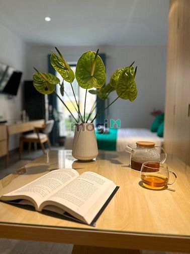 Hình ảnh 🌈Cho thuê Trang Chủ MB66.COM / Đăng Ký Tặng 66K cao cấp ở Lê Văn Sỹ Phú Nhuận