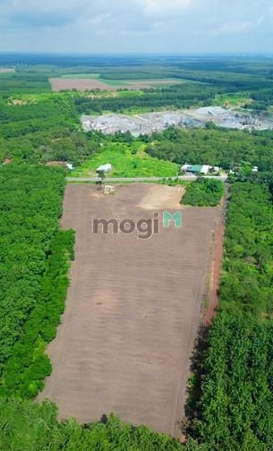 Hình ảnh **CÔ EM gửi bán miếng đất 2000m giá 320 triệu**