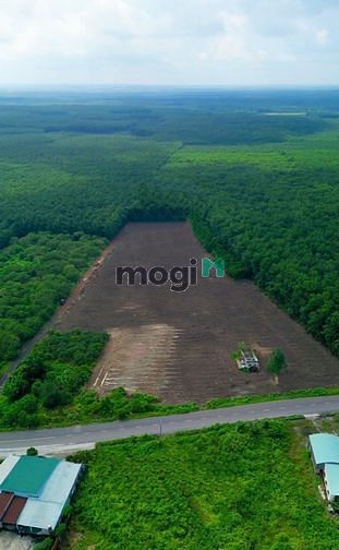Hình ảnh **CÔ EM gửi bán miếng đất 2000m giá 320 triệu**