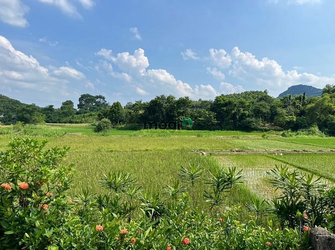 Hình ảnh Cần Bán 1100m full thổ cư Gần QL Thanh sơn Lương Sơn Hoà Bình