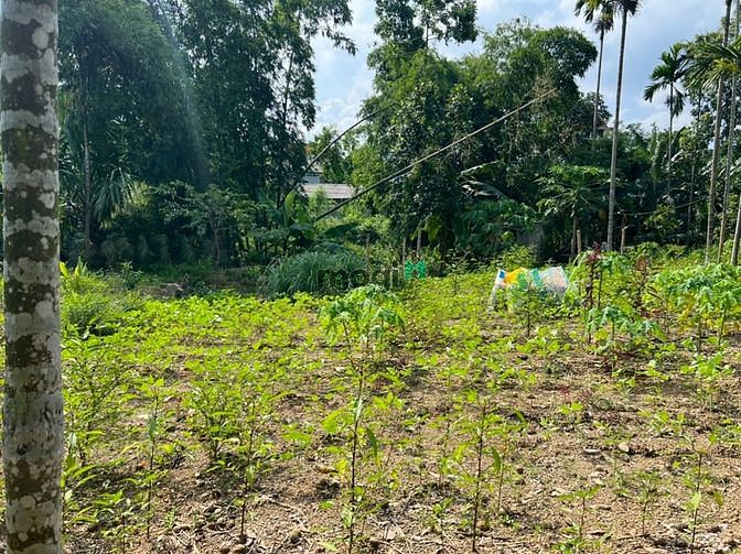 Hình ảnh Cần Bán 1100m full thổ cư Gần QL Thanh sơn Lương Sơn Hoà Bình