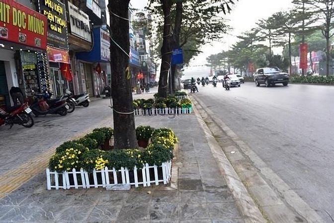 Hình ảnh Đất cực đẹp mặt phố Nguyễn Đình Hoàn - 73m2 x MT 5,6m - Giá quá sốc