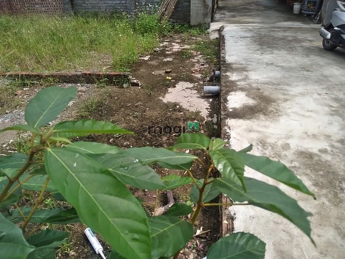Hình ảnh ++BÁN ĐẤT _Đông Dư _Gia Lâm -Hà Nội. DT 36M- MT 3,6M -GIÁ 1,4 TỶ.