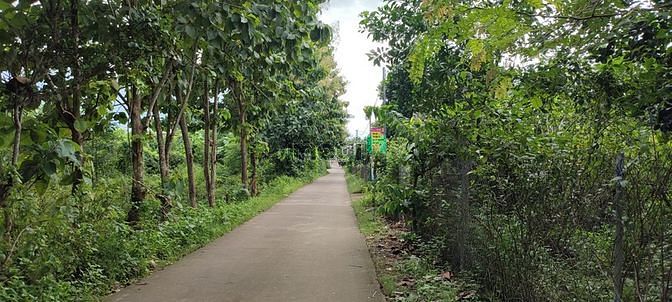 Hình ảnh ✅Bán lô đất đẹp xã Phú Bình, Tân Phú, Đồng Nai - giá 4 Tỷ