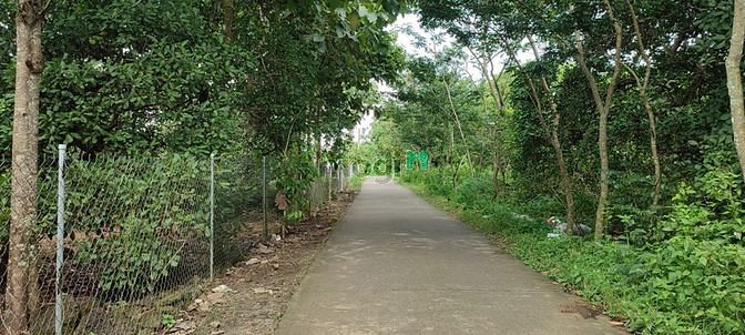 Hình ảnh ✅Bán lô đất đẹp xã Phú Bình, Tân Phú, Đồng Nai - giá 4 Tỷ
