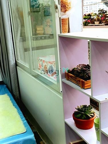 Hình ảnh Studio full nội thất cửa sổ thoáng mát gần Lotte quận 7