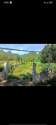 Hình ảnh Đất bám hồ 646m 50m tc Thanh Sơn Lương SơnHOÀ BÌNH