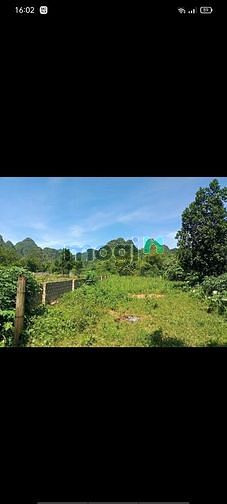 Hình ảnh Đất bám hồ 646m 50m tc Thanh Sơn Lương SơnHOÀ BÌNH