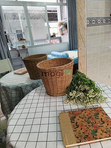 Hình ảnh Studio full nội thất cửa sổ thoáng mát gần Lotte quận 7