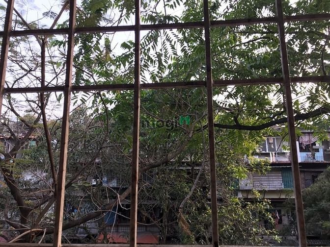 Hình ảnh Cho thuê Trang Chủ MB66.COM / Đăng Ký Tặng 66K tập thể gần hồ Thành Công