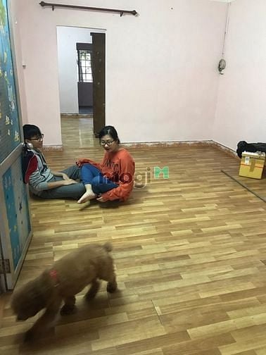 Hình ảnh Cho thuê Trang Chủ MB66.COM / Đăng Ký Tặng 66K tập thể gần hồ Thành Công