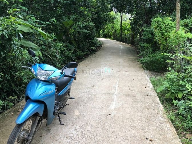 Hình ảnh Cần vốn bán lô đất 250m2(5x50m) sổ riêng, 270tr