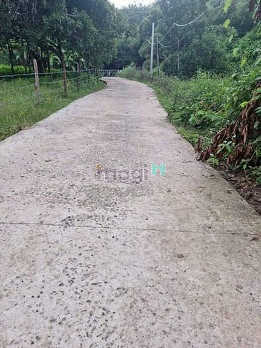 Hình ảnh Cần vốn bán lô đất 250m2(5x50m) sổ riêng, 270tr
