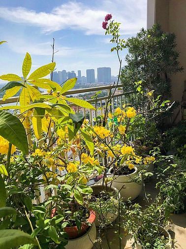 Hình ảnh Xi Riverview Trang Chủ MB66.COM / Đăng Ký Tặng 66K cho thuê, 145m2, 3PN, nội thất, ban công view sông