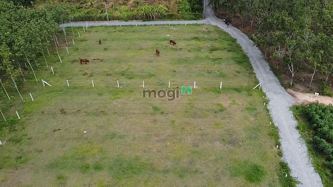 Hình ảnh Chính chủ cần bán 1025m2 đất thổ cư. Giá 645 triệu