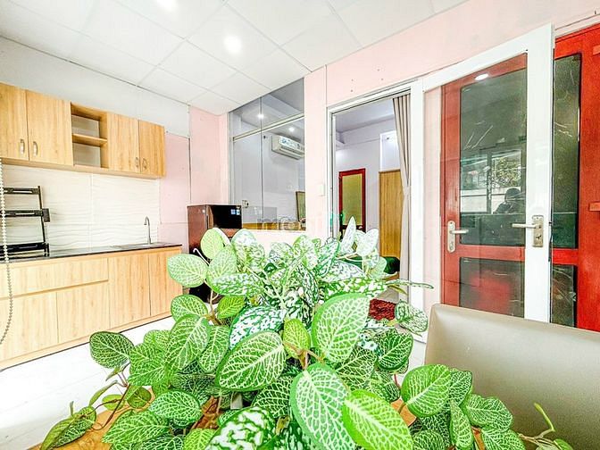 Hình ảnh Cho Thuê Căn Hộ_Đường Nguyễn Trãi_Quận 1