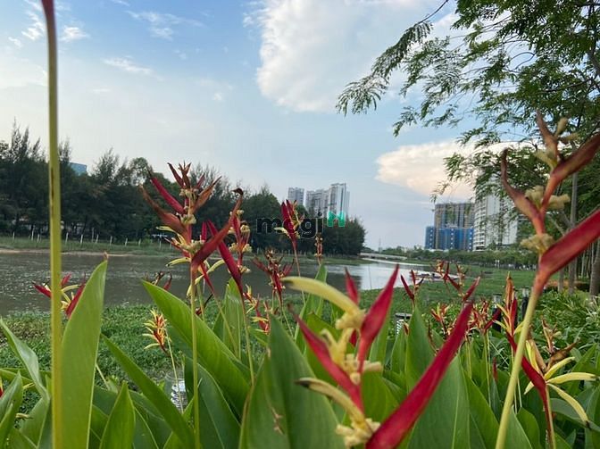 Hình ảnh Bán nhanh căn hộ cao cấp The Peak Midtown, PMH, Q.7