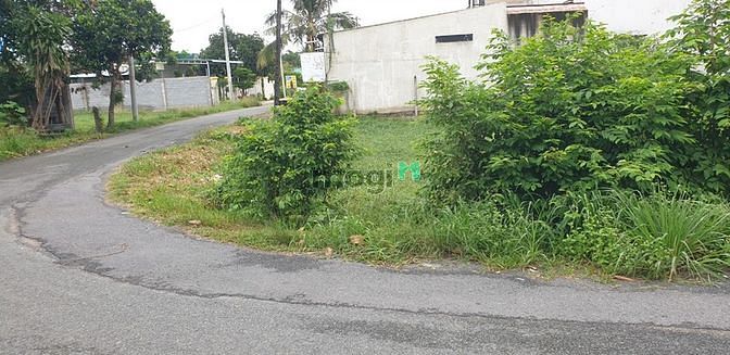 Hình ảnh Bán đất Huyện Củ Chi, 3 lô liền kề, đg Phạm Thị Xẩm, xã Thái Mỹ