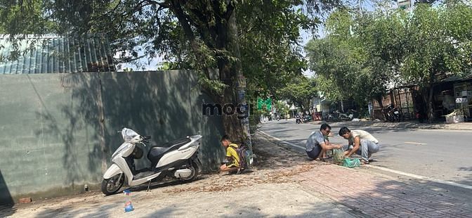 Hình ảnh Mặt tiền kinh doanh Trần Thị Bốc, Hóc Môn. 10x32. 311m2, Full thổ