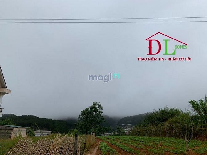 Hình ảnh Bán đất biệt thự KQH An Sơn Phường 4 Đà Lạt view thông cực đẹp - MN284