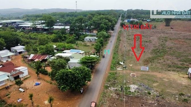 Hình ảnh 1000m2- 5 Suất Nội Bộ Thổ Cư Thị Xã Bình Long Bình Phước Giá 339 Triệu