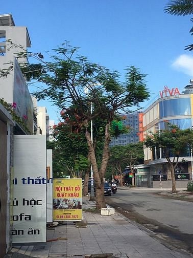 Hình ảnh BDS HVL Bán đất MTKD đường 56 KDC Đông Thủ Thiêm Q2 TP Thủ Đức