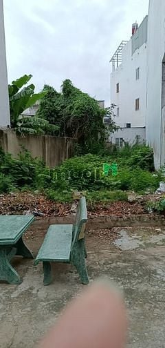Hình ảnh Đất thổ cư hẻm 6 m TT Nhà bè. Giá rẻ, pháp lý tốt. 5,4 tỷ.