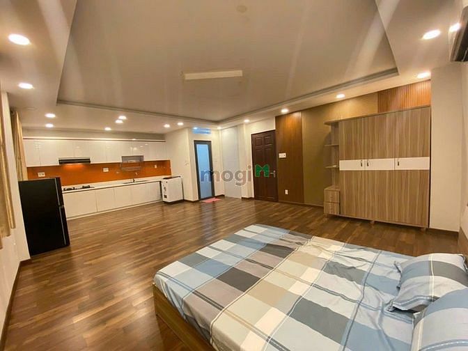 Hình ảnh Chính Chủ Cho Thuê - Căn Hộ Mini Ngay Tân Hoà Đông - 45m2