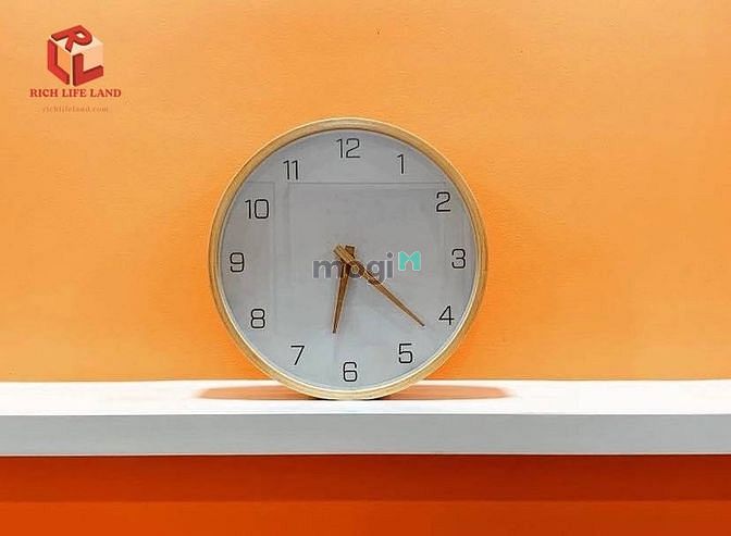 Hình ảnh C/hộ 2PN full nội thất đẹp, view thoáng, chỉ 13 triệu - Dự án Centana