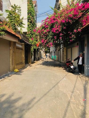 Hình ảnh Bán nhà Hẻm VIP 48 Hồ Biểu Chánh