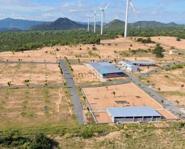 Hình ảnh Đất 6931m2_Bình Thuận_Tuy Phong_Bình Thạnh