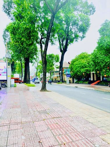 Hình ảnh Cho Thuê Toà Nhà Mặt Tiền 234 Pasteur, Quận 3 ( DTSD: 2.992m2 )