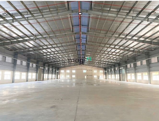 Hình ảnh Kho Xưởng Cho Thuê Sơn Trà: Diện Tích 400m2 và 800m2, Đường Container