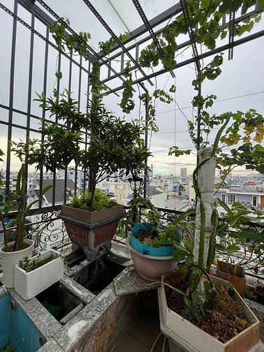 Hình ảnh Penthouse KDC Bông Sao Q8 gần SVĐ Q8, chùa Pháp Quang