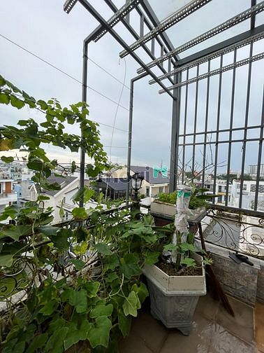 Hình ảnh Penthouse KDC Bông Sao Q8 gần SVĐ Q8, chùa Pháp Quang