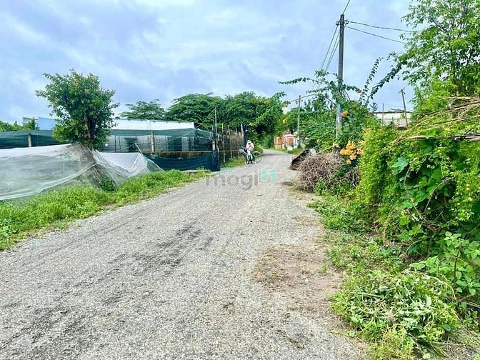 Hình ảnh Chính chủ bán lô đất vườnThái Mỹ, Củ Chi - SHR - 1030m2 Giá 1,7 tỷ