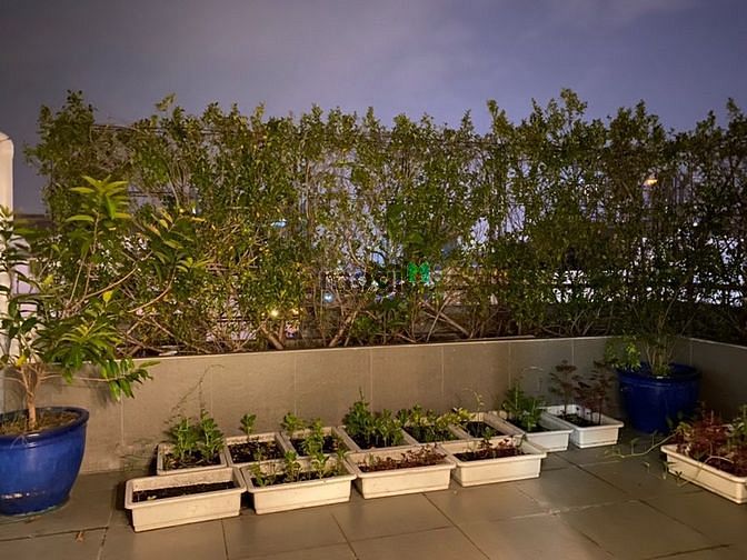 Hình ảnh Bán căn Penthouse Mỹ Khánh 4 dt 301m2 giá 15 tỷ, nhà đẹp.